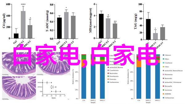 逆袭居所75平米二室一厅的反差装修奇迹