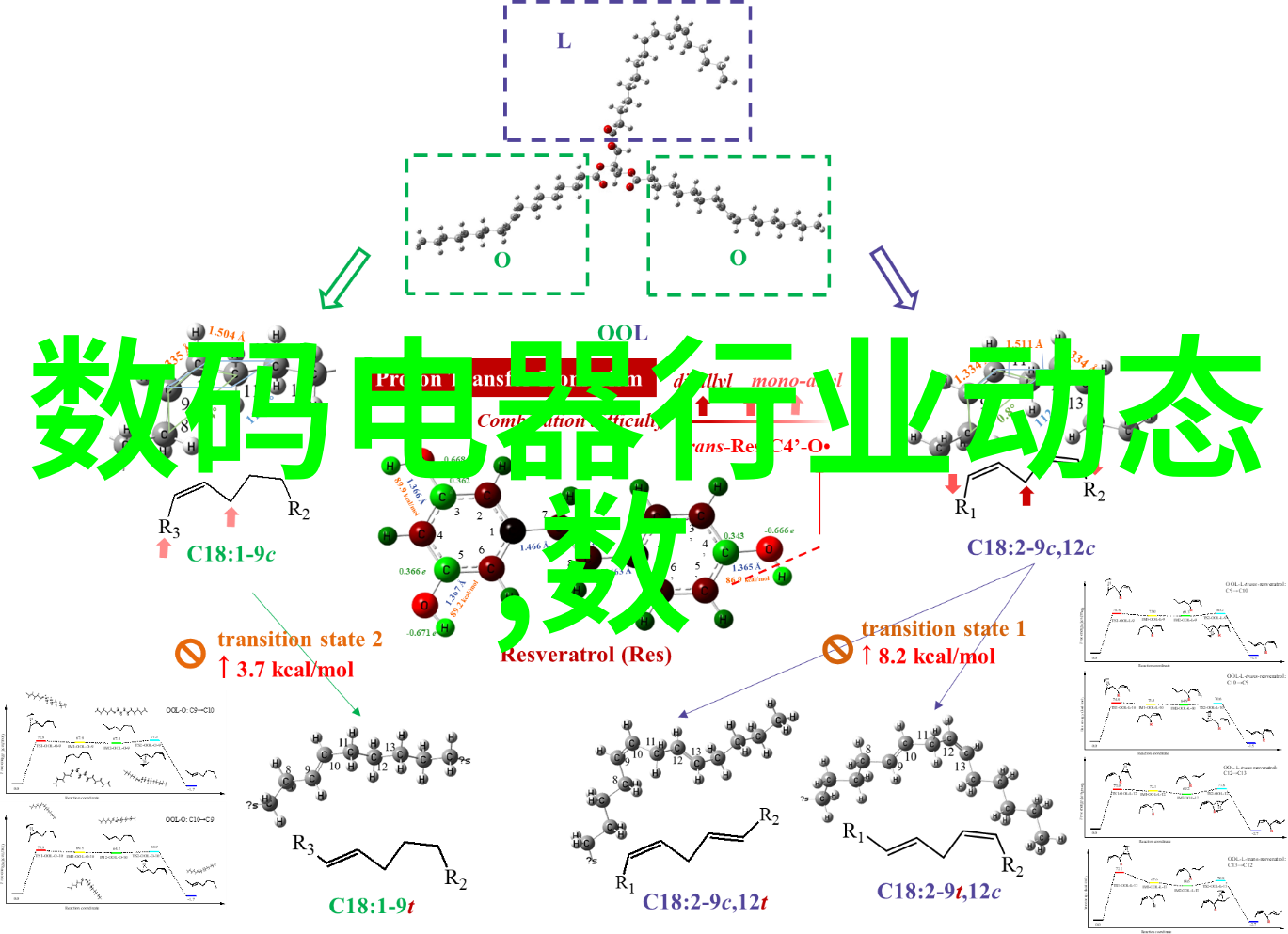 无人区码卡二卡1卡2卡动漫-在虚拟世界的边界之内无人区码卡二卡1卡2卡动漫的奇幻旅程