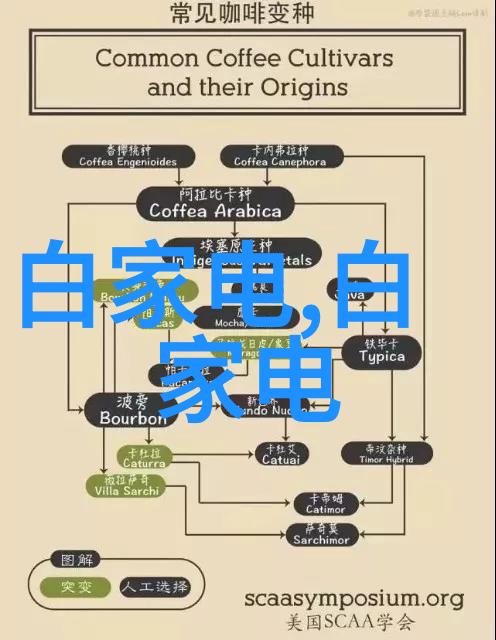 干洗技艺揭秘如何高效清洁衣物的艺术