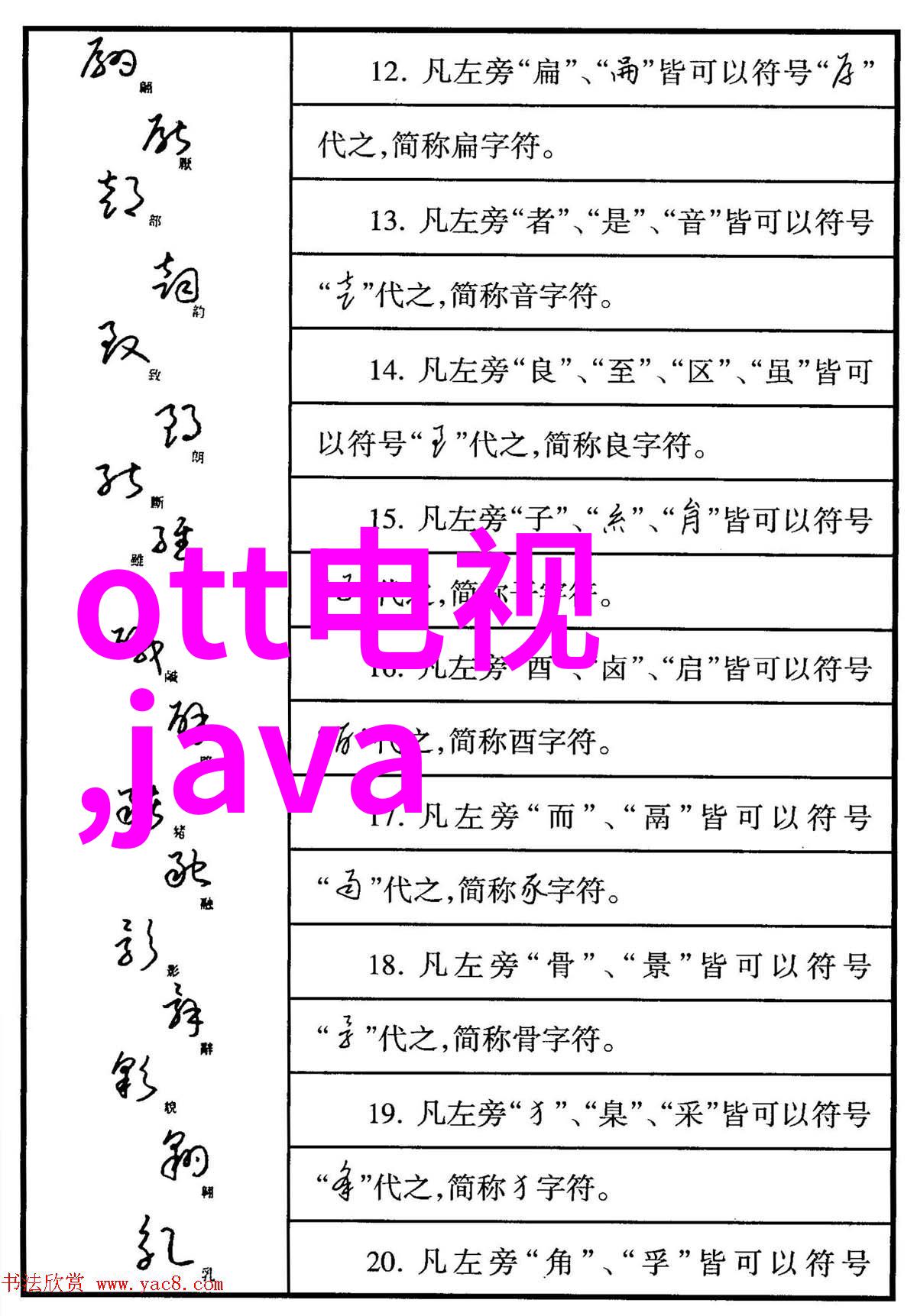 婚礼上的贵宾探究如何用郁金香来表达对未来的期待和愿望