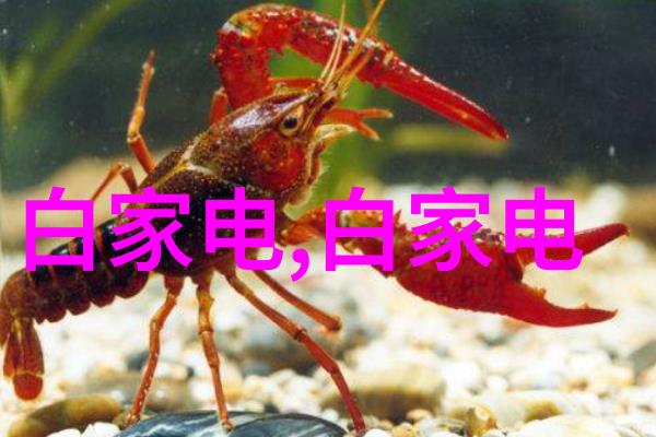 最新家装效果图片大全探索时尚居家风格的灵感源泉