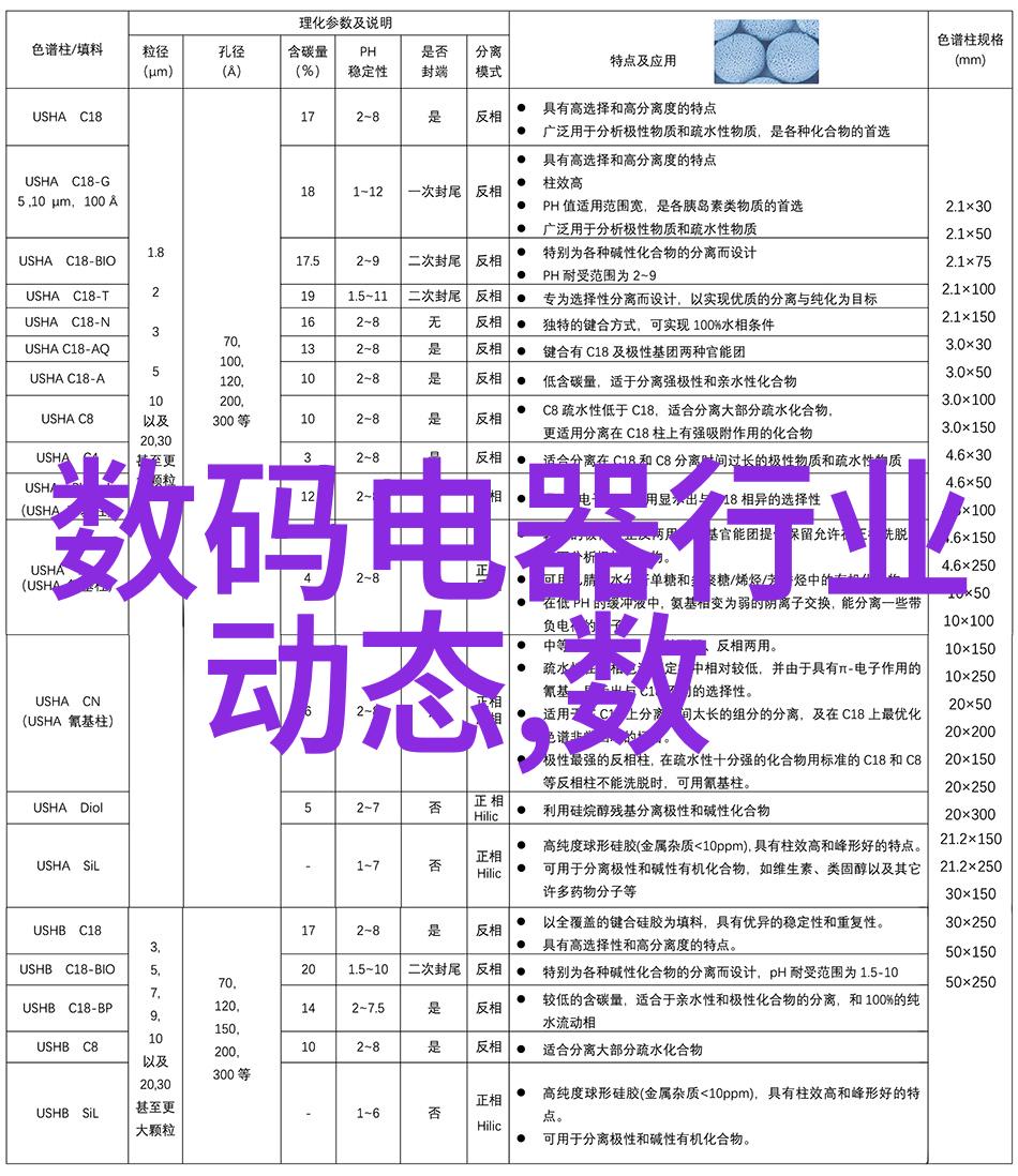 奥星公司在研发方面投入了多少资源和资金