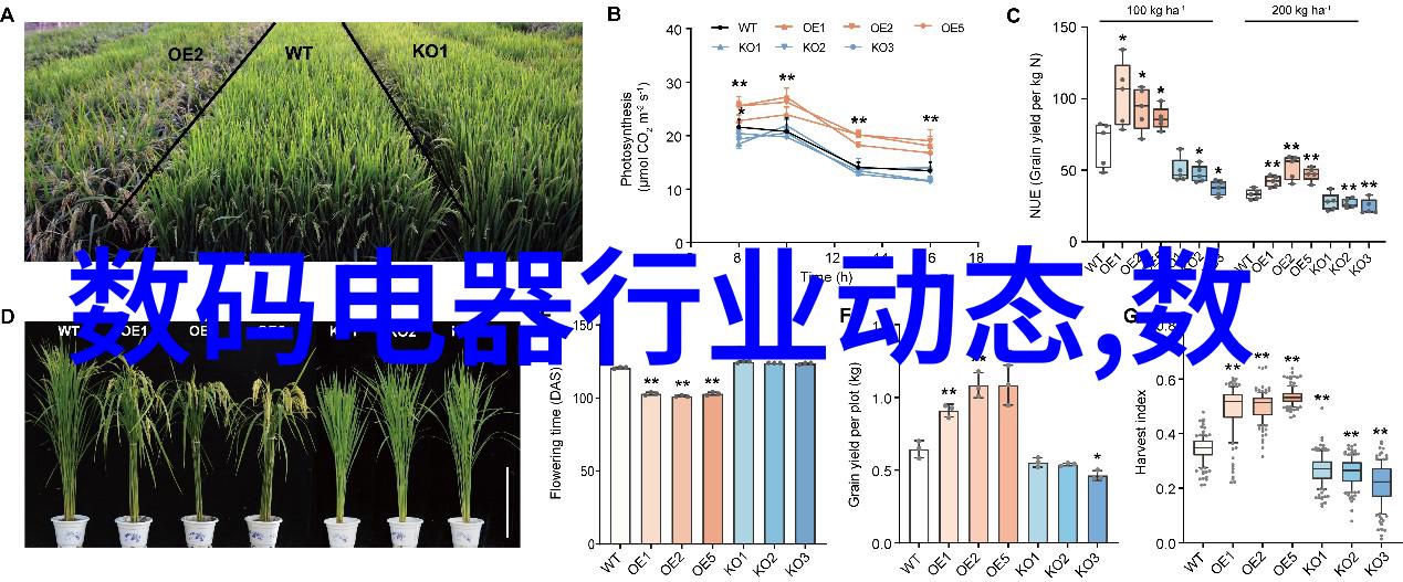 液晶电视的使用年限探究揭秘屏幕健康寿命