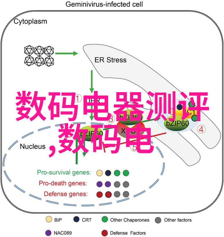 化工管件安全生产的关键与创新技术的驱动者