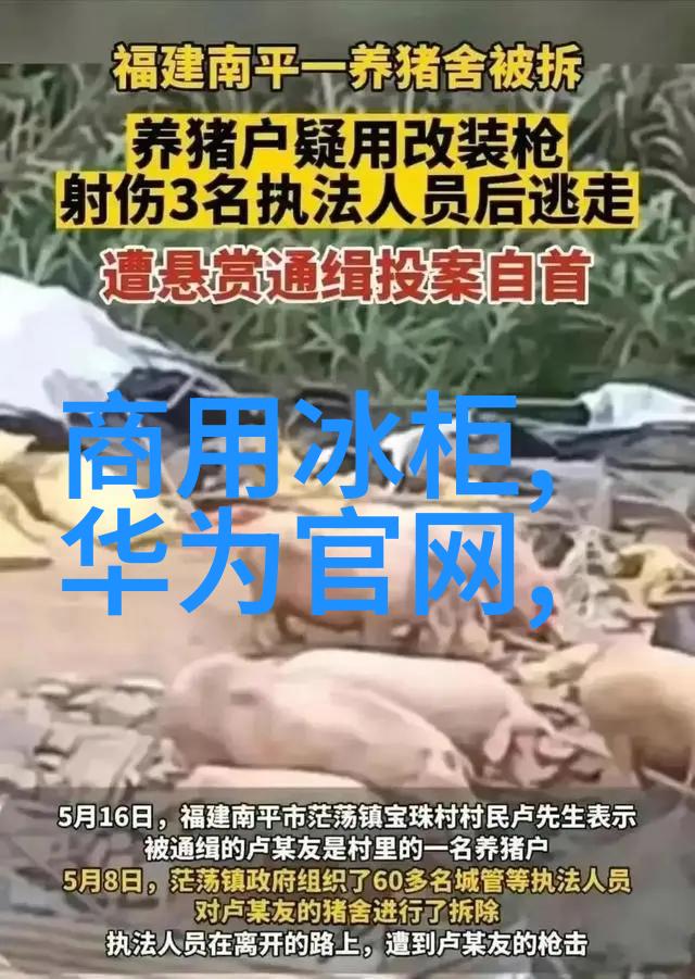 自己装修房子的全程指南从规划到完工的详细步骤