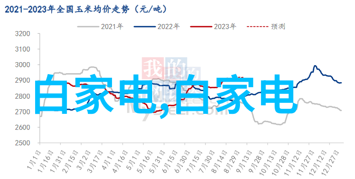 市场监督管理局权力与隐秘的双重面纱