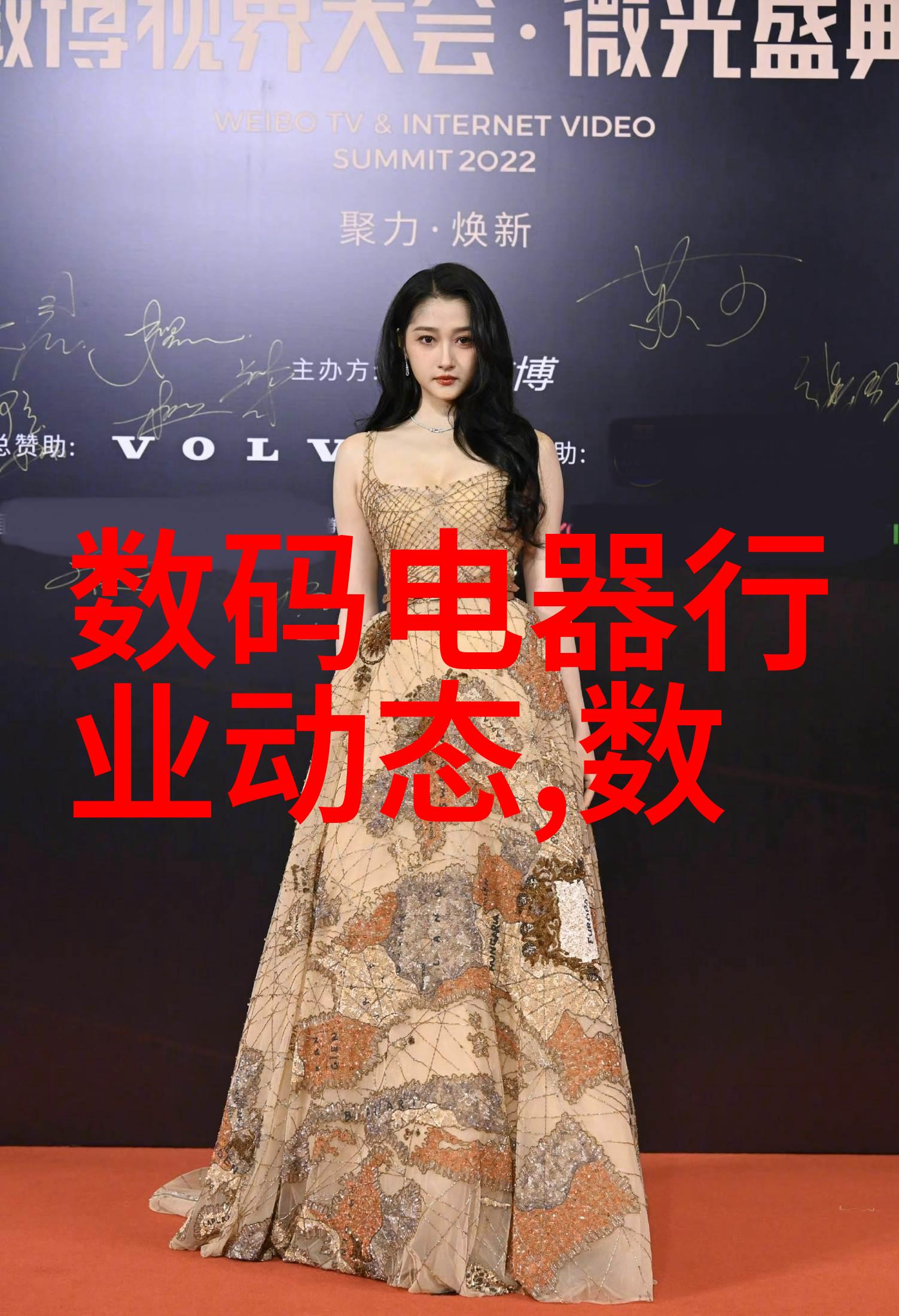 从无名小卒到冠军逆袭之王的崛起