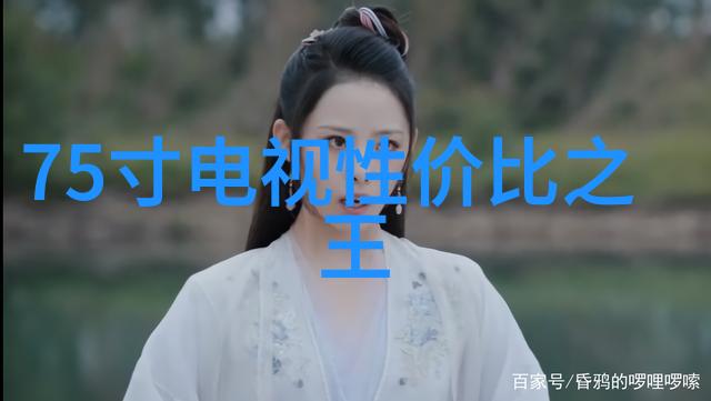 北京等保测评公司背后的秘密揭开那些被遗忘的案例