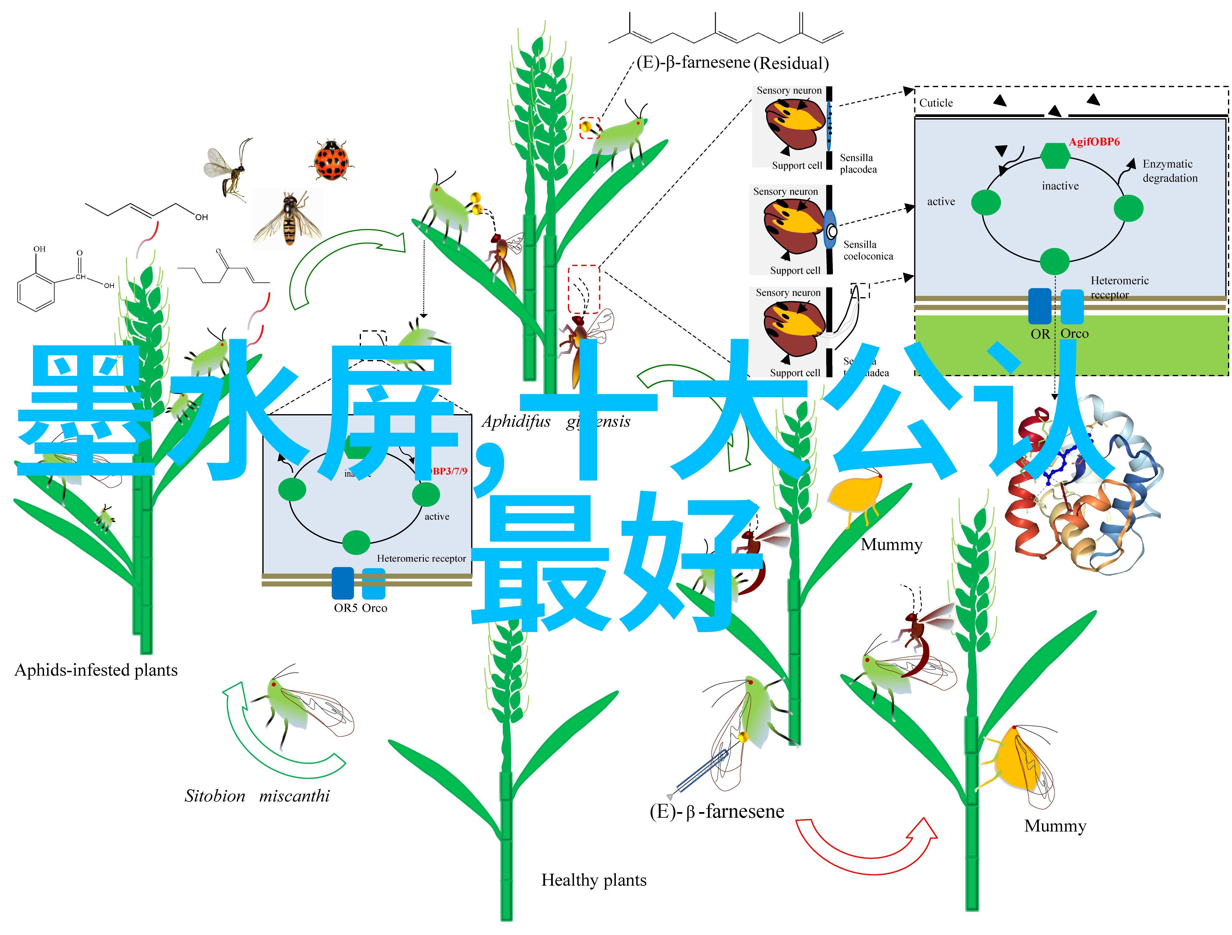 郑州财经学院梦想与实践的交响曲