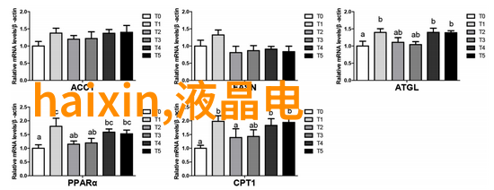 管道尺寸标准规格表解析与应用实例