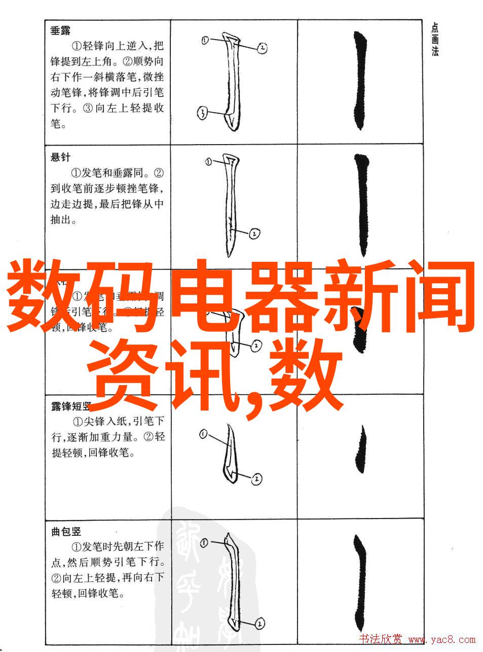 世界首个龙眼与荔枝杂交新品种诞生开启新时代的果实革命