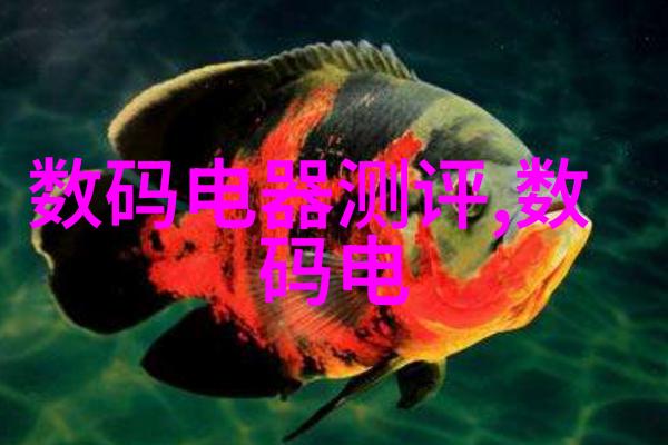 探索光影语言纪实摄影在当代艺术中的角色与意义