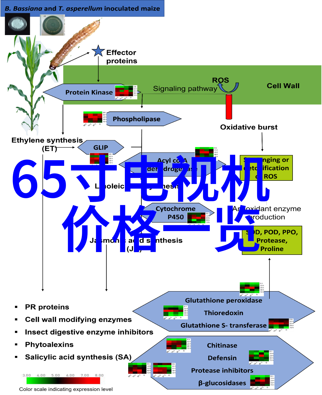 天面防水补漏我是如何找回阳台的清澈天空