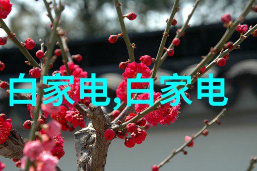 天津搬家公司助您轻松旧房翻新二手房改造攻略