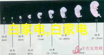 汽车的构成了解每个部件的作用与重要性