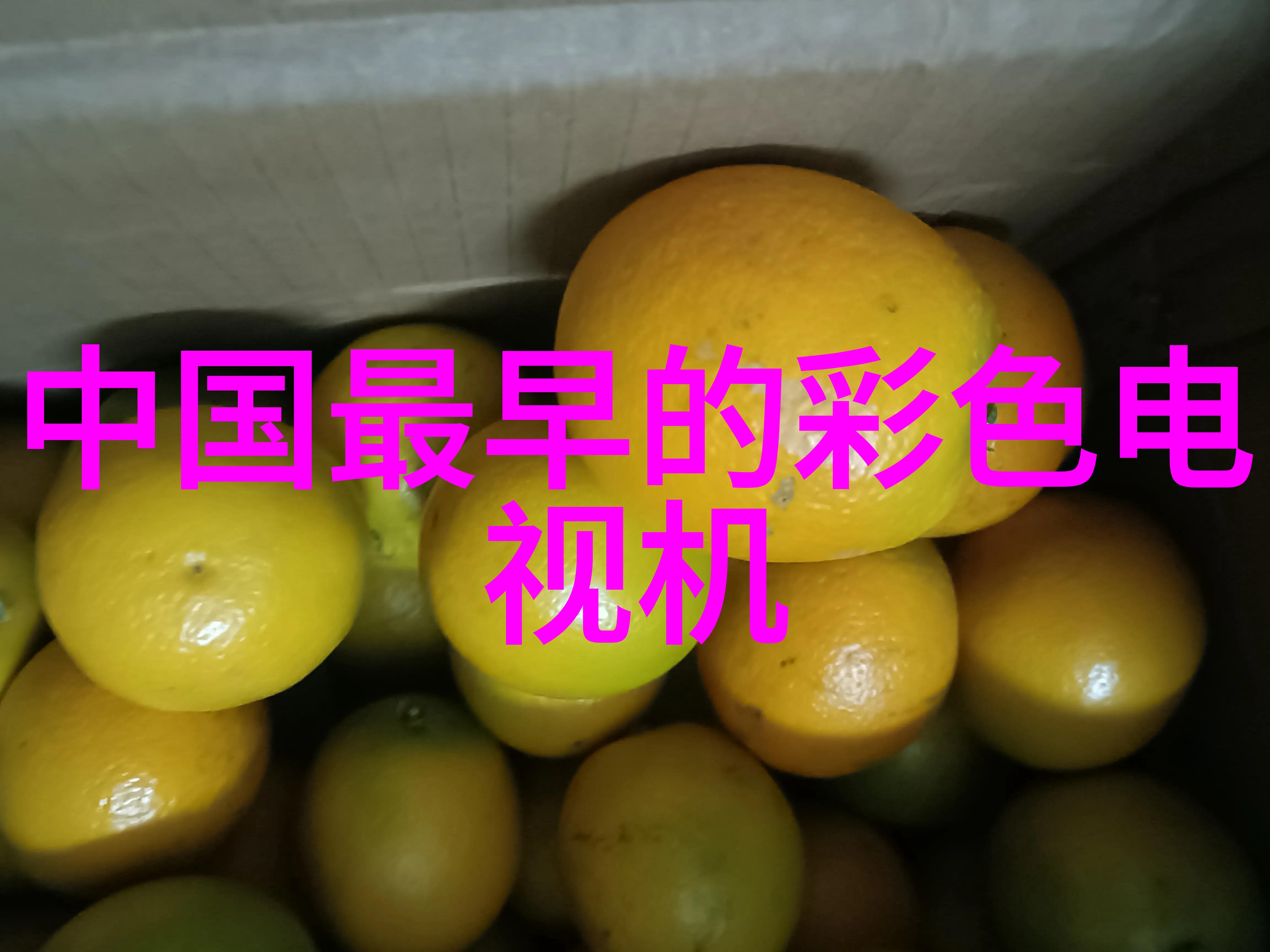 智能机器人生产厂商Dogotix多够机器人以500万元天使轮融资展现其在仿生机器人研发领域的雄心与实