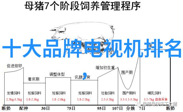 全球芯片制造强国排名美国日本与韩国的激烈竞争