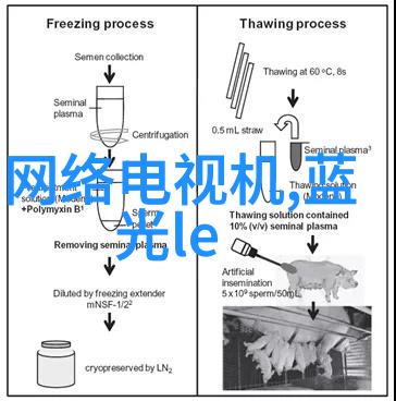 从梦想到尘埃在家加工厂的奇幻之旅