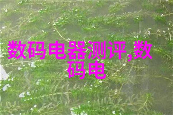 深圳信息职业技术学院未来科技的栋梁与古老书院的影子