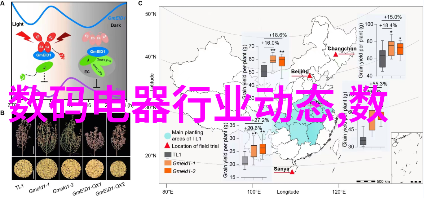 从土到电水电工的奇妙征程