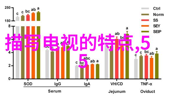 失重小说咬春饼我在虚构的世界里寻找着那份淡淡的春意