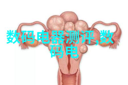 南京财经大厦的学霸们探秘中南财经政法大学研究生院的智慧殿堂