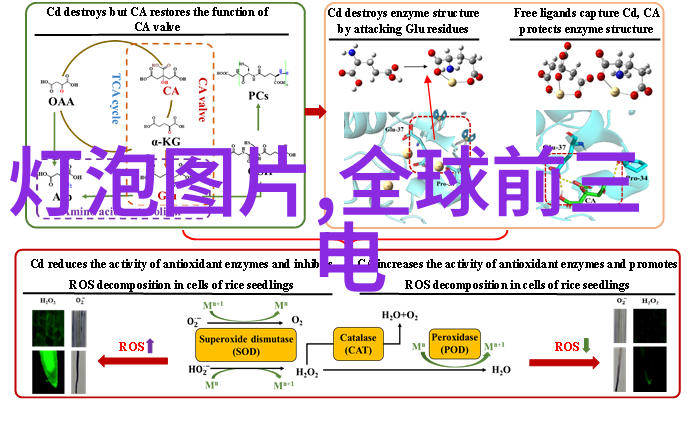 如何选择合适的家居装修风格