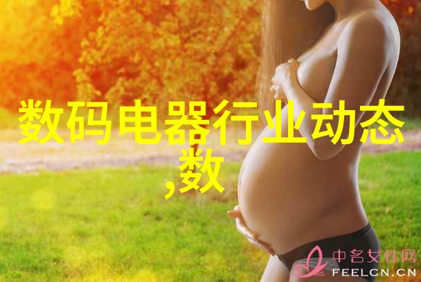 新型保温材料我的家暖如春