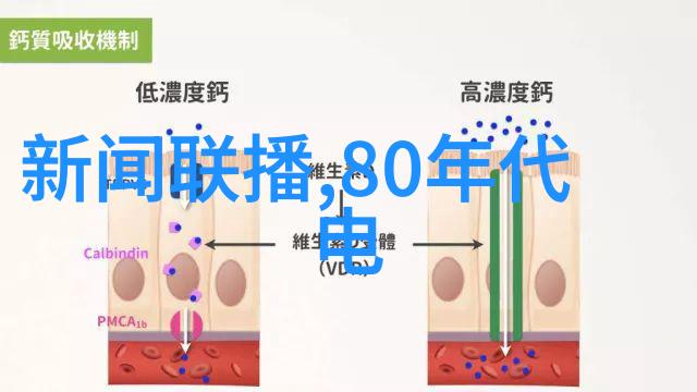 专利创新的个人通道开启智慧成果的新篇章