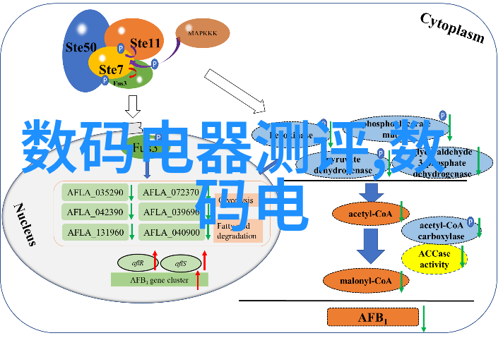 镜头魔术师揭秘世界十大顶级摄影师的创意与技巧