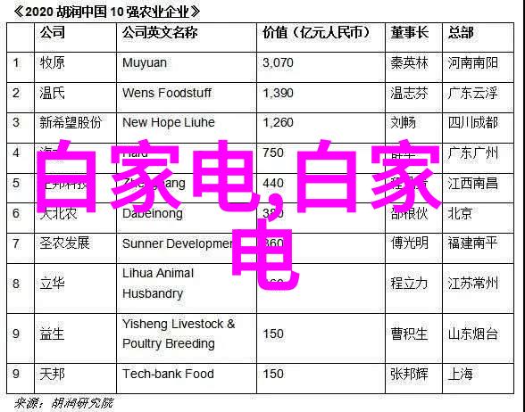 影像记忆摄影家如何通过照片传递历史和文化信息