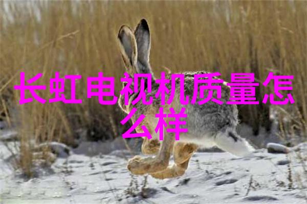 嵌入式系统教育探索智能设备内核的学习之旅