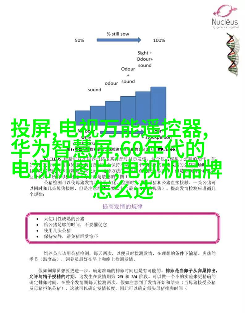 518全国婚礼日，来看看摄影师们都是怎么工作的