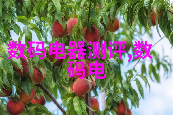 不锈钢陶瓷填料超级材料的新纪元