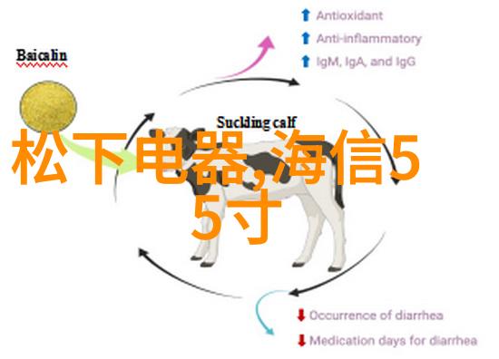 旋转式压片机ZP-55