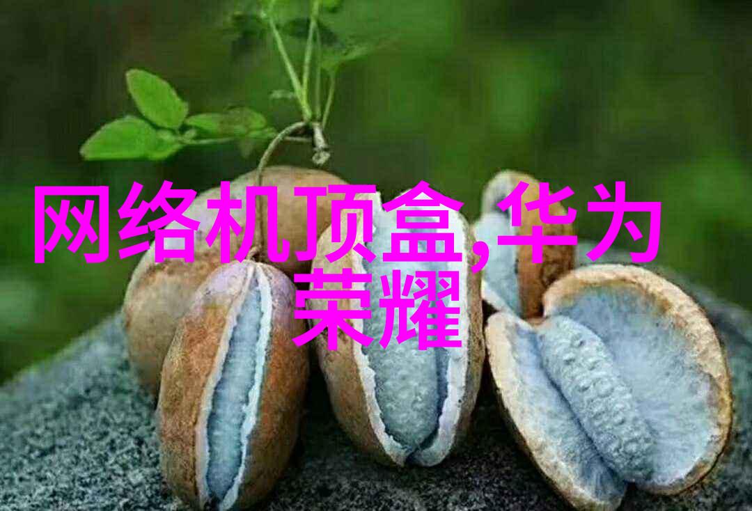 捕捉光影摄影艺术的精髓