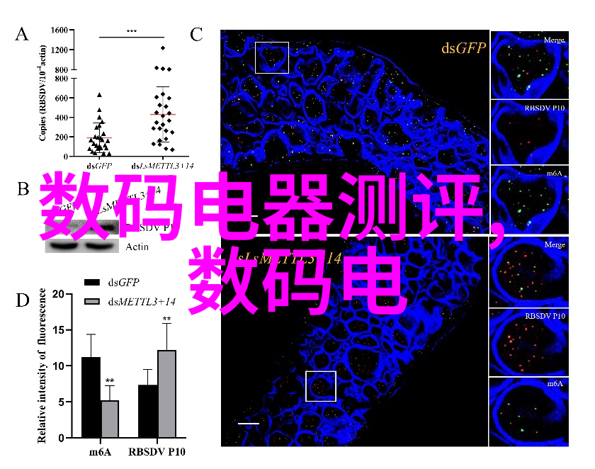 实验室里的超级英雄揭秘那些让科研生活更有趣的设备