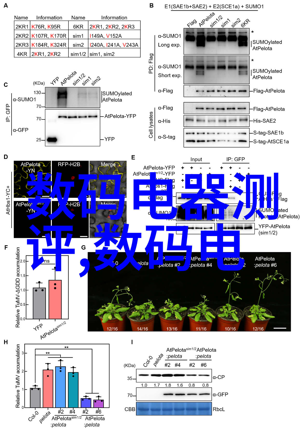 中国半导体产业发展动态中国半导体技术进步