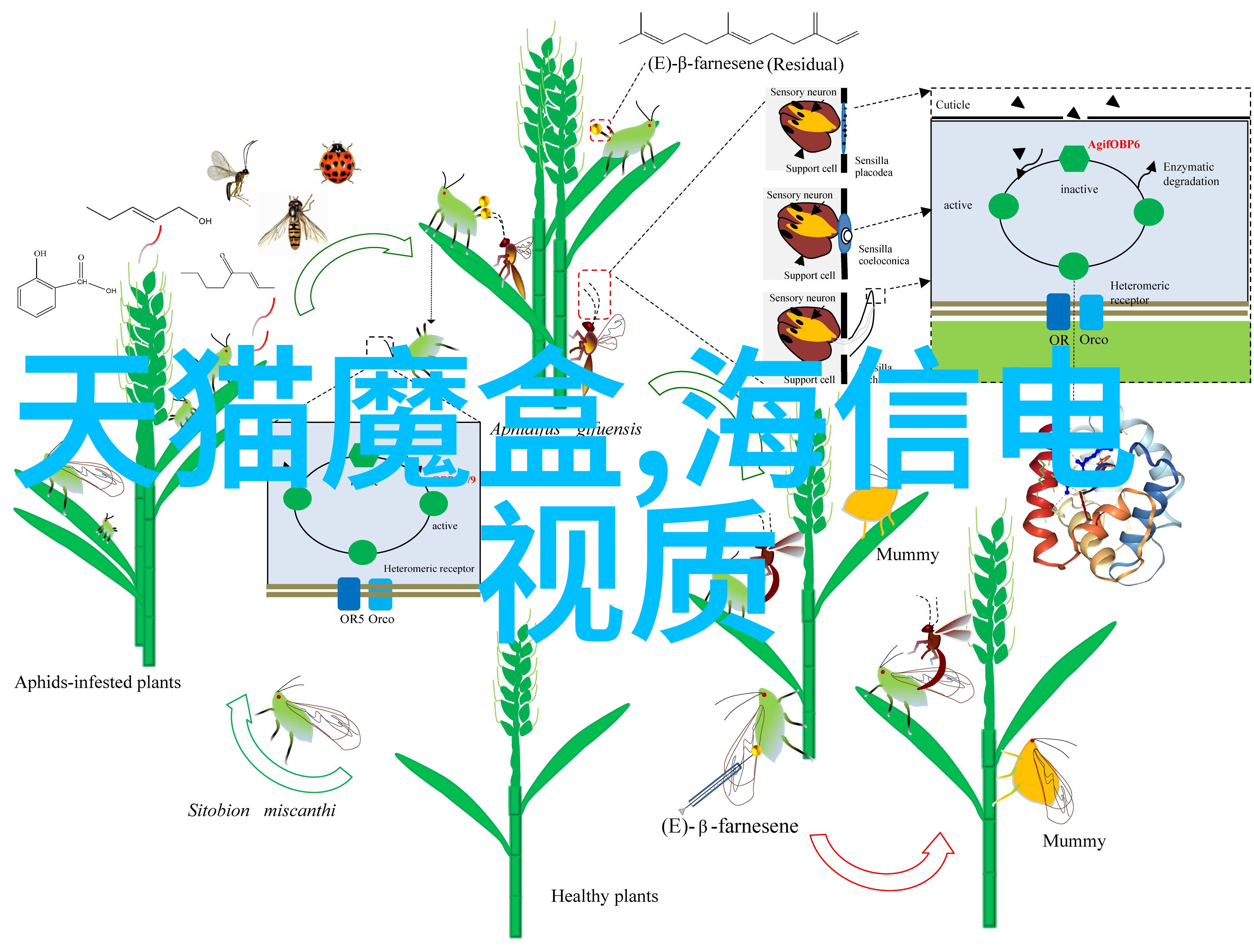 恒温恒湿技术在展柜环境控制中的应用研究