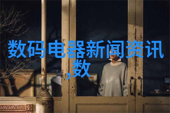 镜头上的租赁奇遇揭秘摄影师的灵感之旅