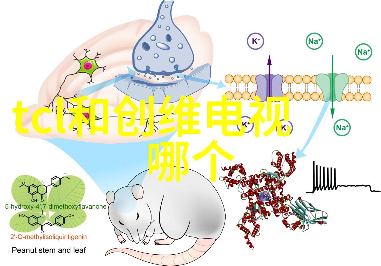 土方工程的奥秘与实践