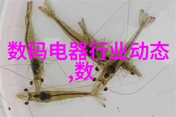 学子之问师生关系的新篇章