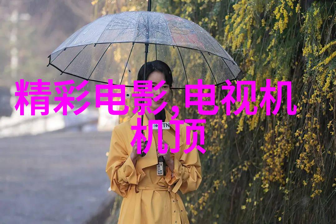 水泥管我家的后院小径是怎么修的