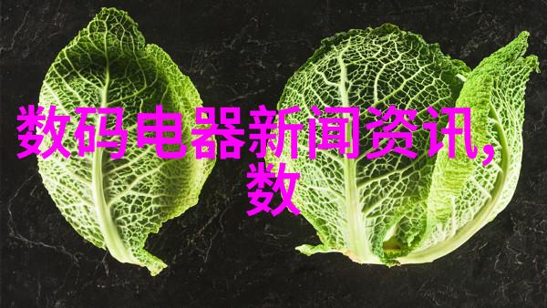 照片修饰大师如何在摄影大全纯净版中提升图片质量