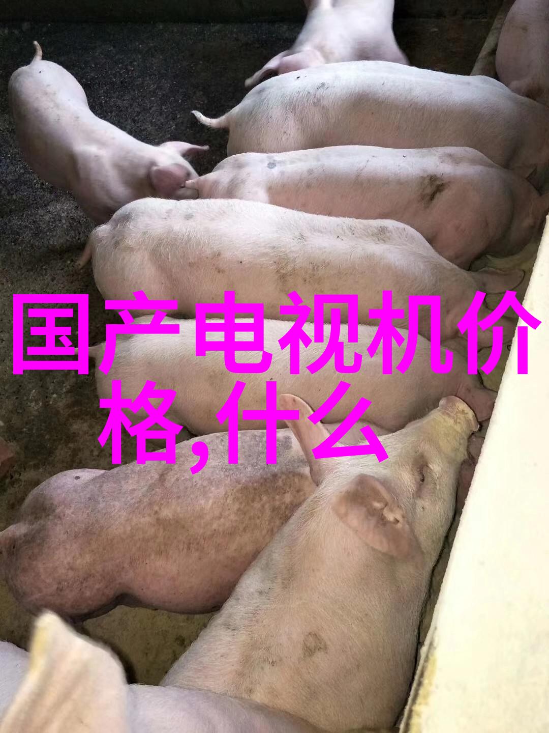 ESG报告发布季丨22家券商碳排榜来了中原证券碳排骤降2156向申请项目资金申请报告致敬绿色金融推动