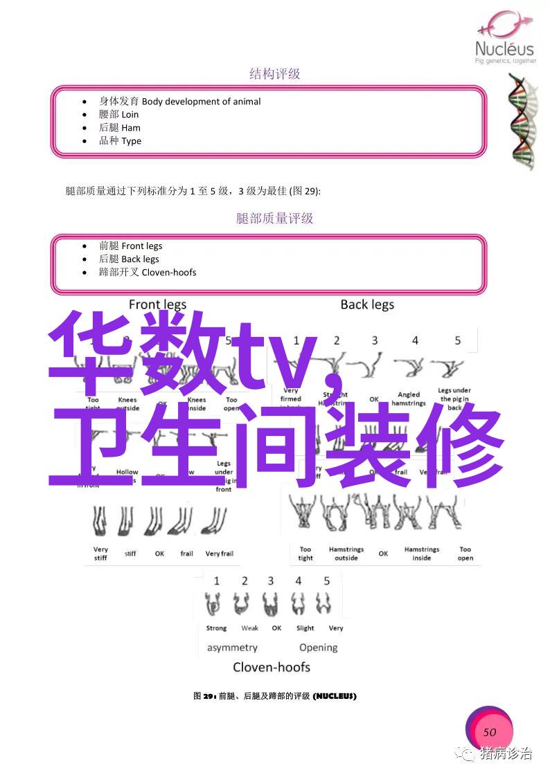 创意无限每天一篇故事独家解读当红明星的拍照秘籍