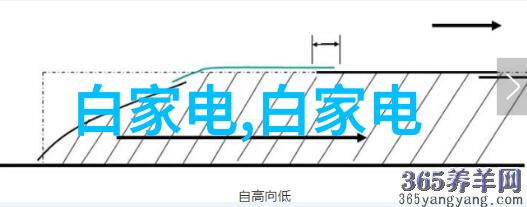 冰晶之梦制冷设备有限公司的传奇成长