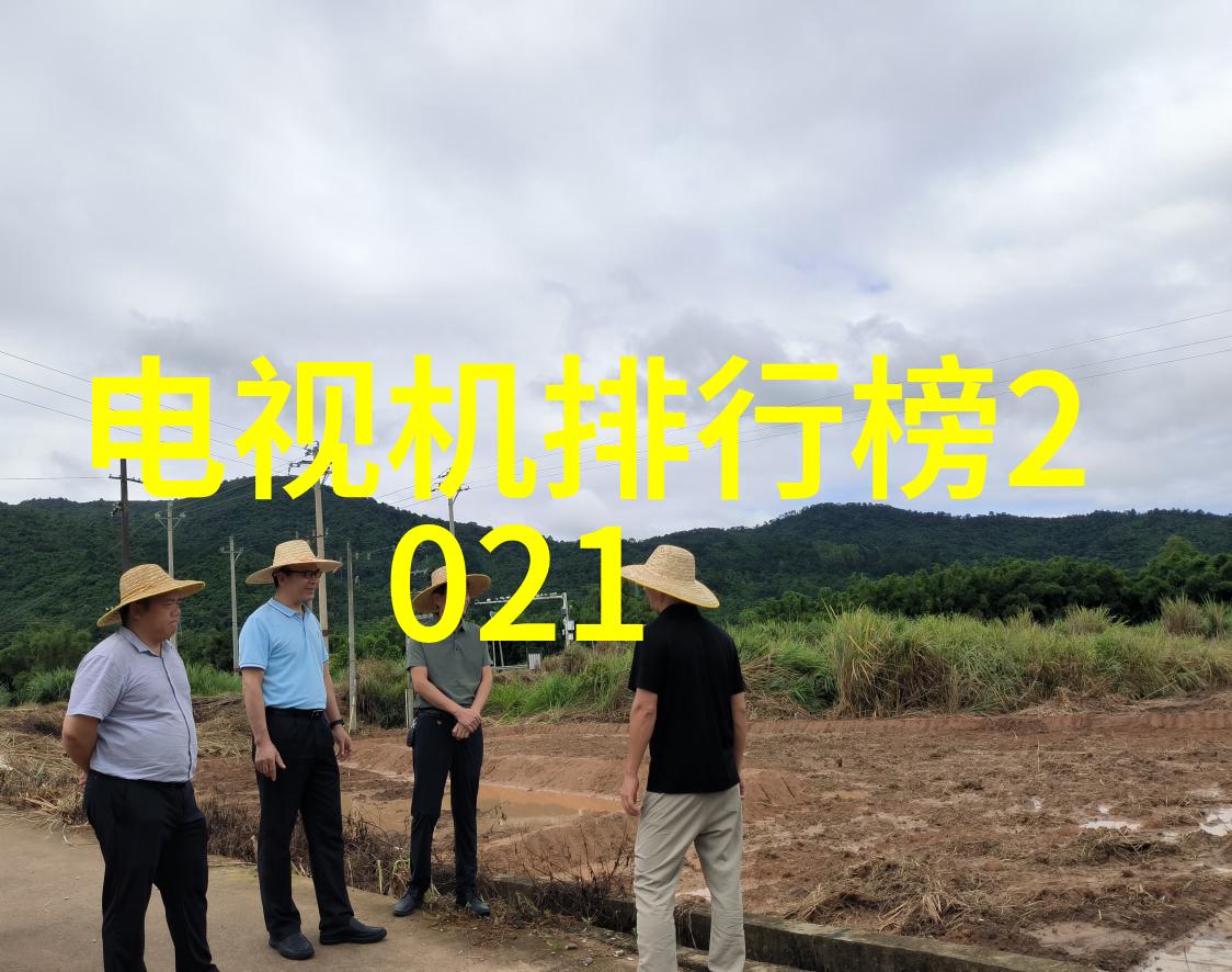 构建全国建筑市场监管体系公共服务平台的重要作用与未来发展