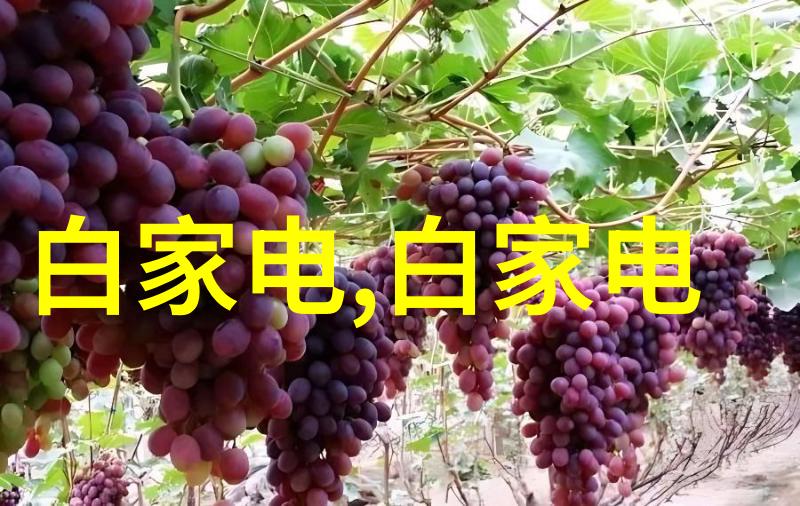 微波杀菌技术革新安全高效的食品卫生新标准