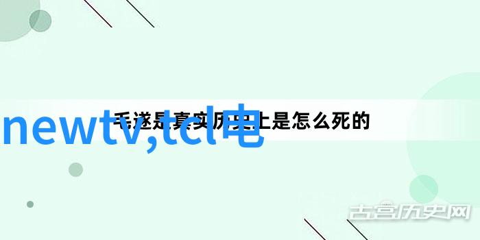 实用与美观并存现代家庭室内设计案例分析